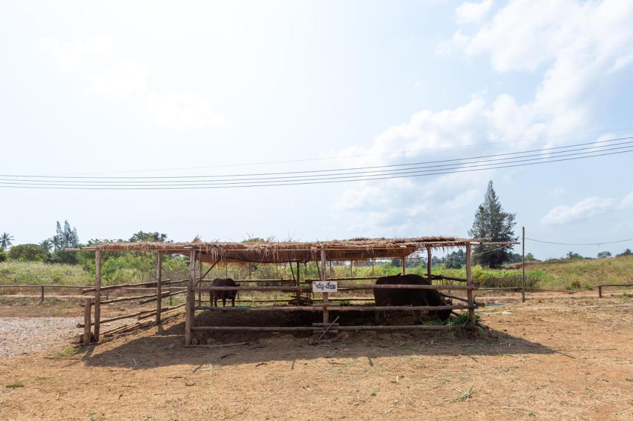 Отель The Barn Hua Hin Кхао Тао Экстерьер фото